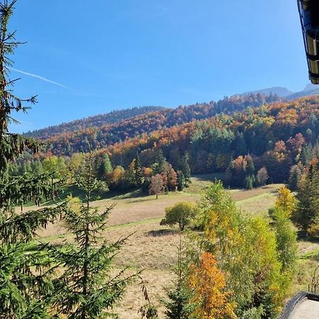 Akra Apartman Zakopane Kültér fotó