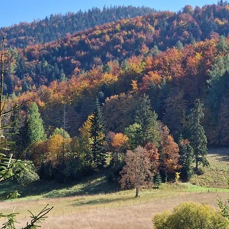 Akra Apartman Zakopane Kültér fotó