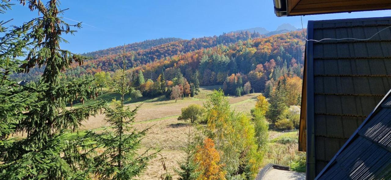Akra Apartman Zakopane Kültér fotó