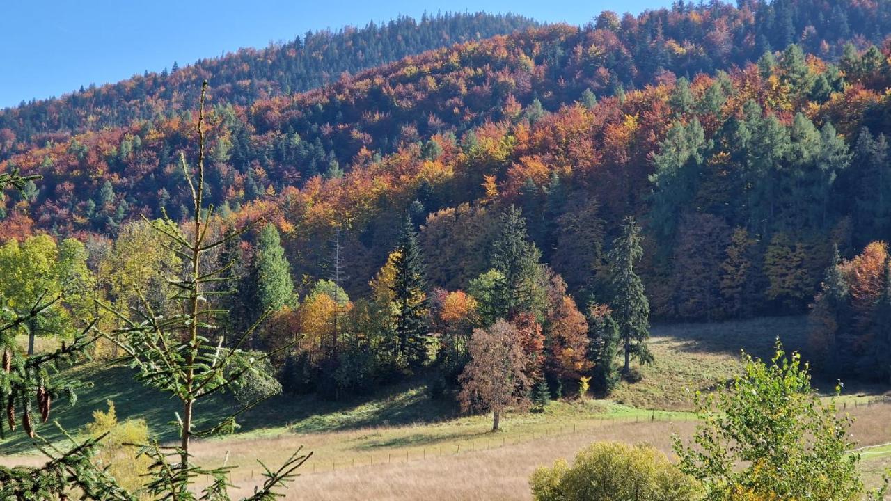 Akra Apartman Zakopane Kültér fotó