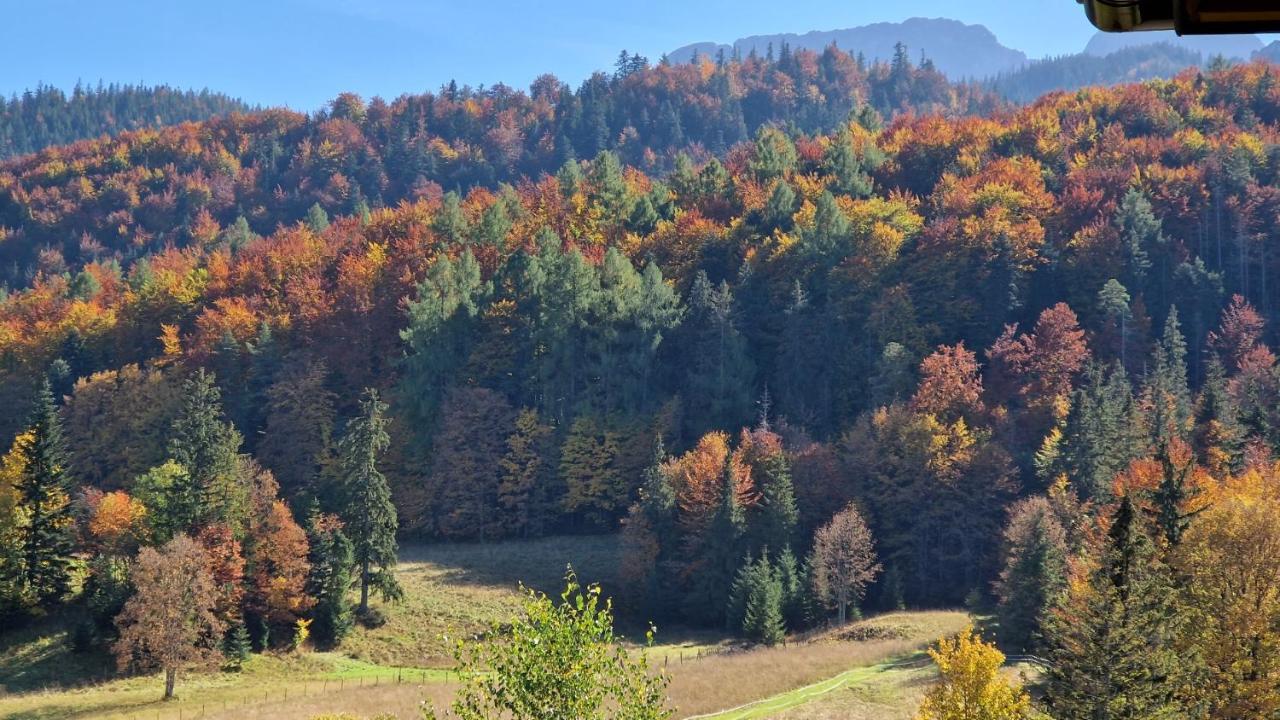 Akra Apartman Zakopane Kültér fotó