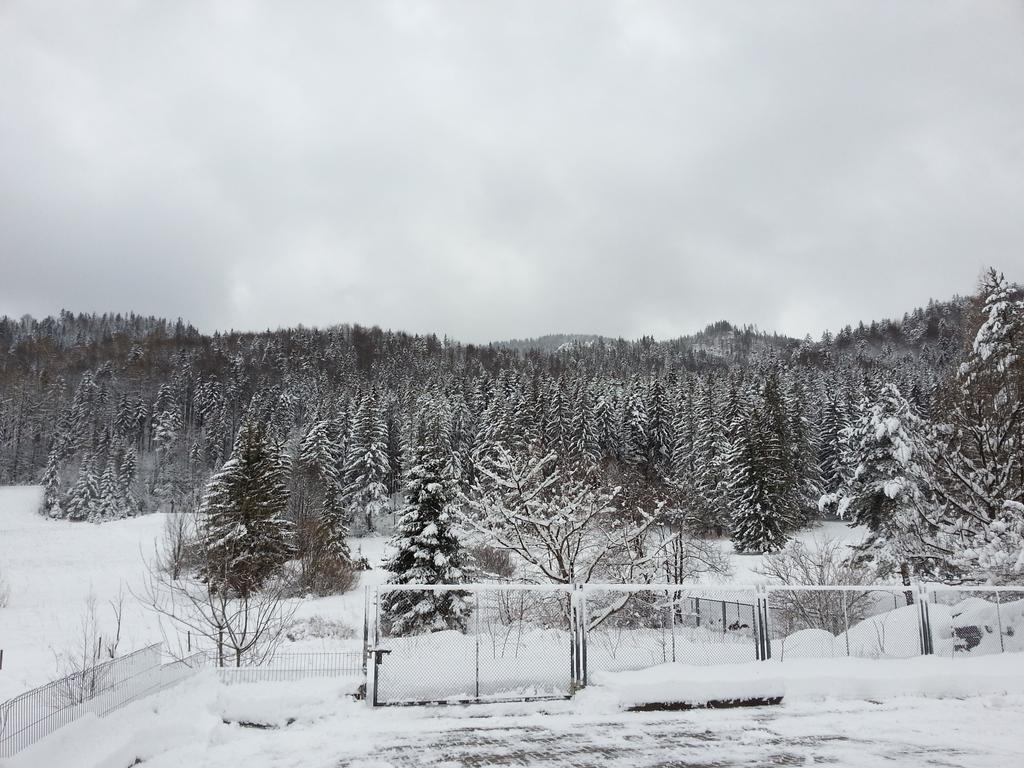 Akra Apartman Zakopane Kültér fotó