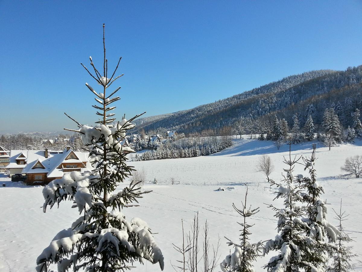 Akra Apartman Zakopane Kültér fotó
